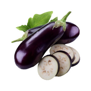 Aubergine - بینگن