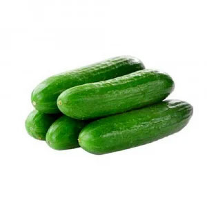 Cucumber - کھیرا