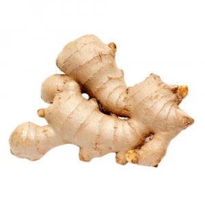 Ginger - ادرک