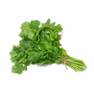 Coriander - دھنیا